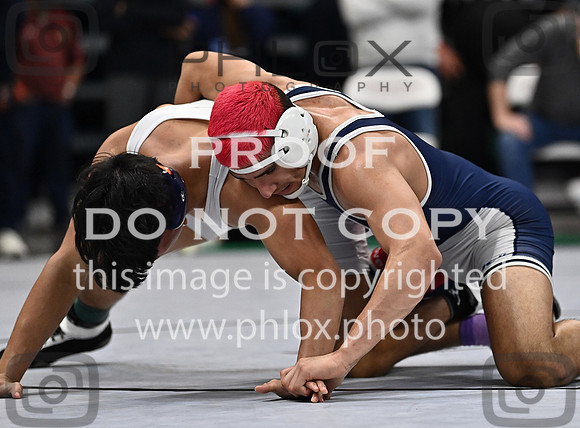 DLS_3052