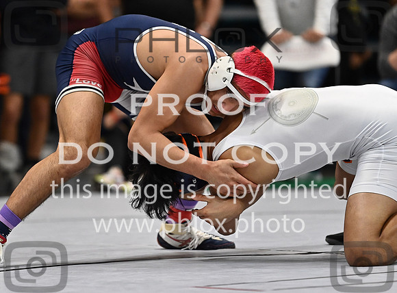 DLS_3024