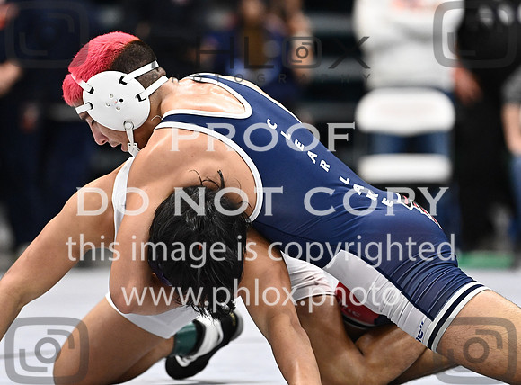 DLS_3050