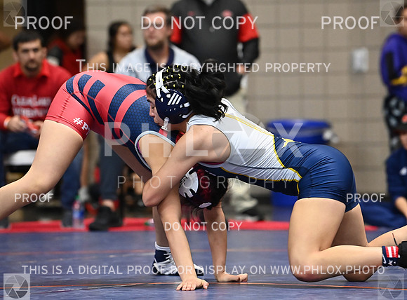 DLS_1171