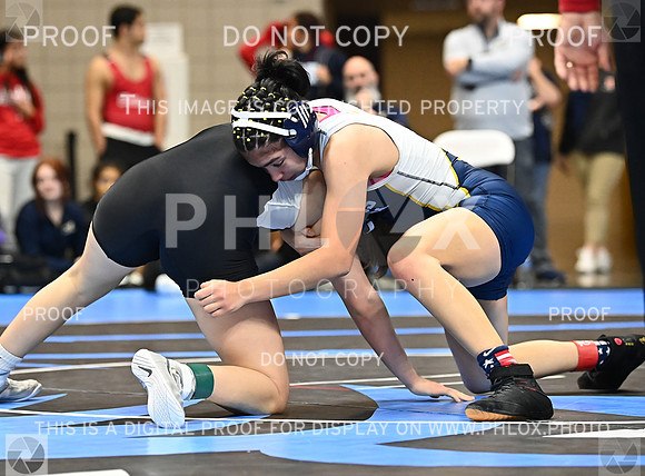 DLS_0351