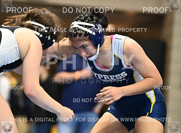 DLS_0360