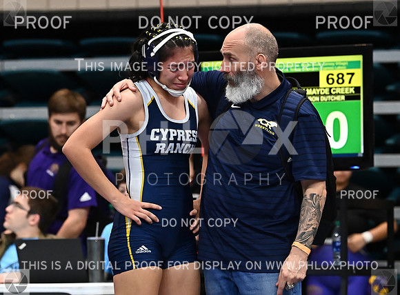 DLS_1190