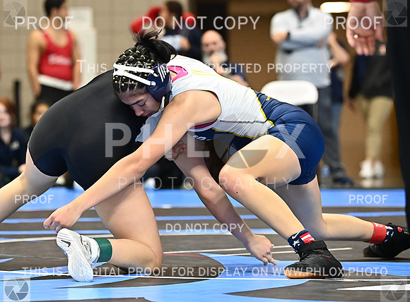 DLS_0352