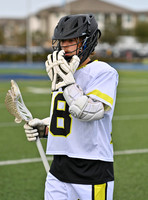 JO6_2989