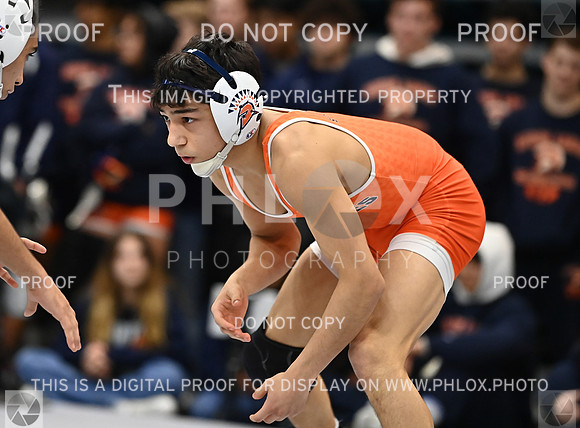 DLS_2689