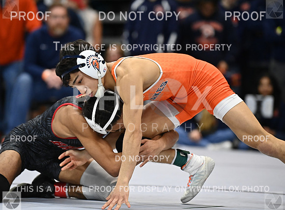 DLS_2702