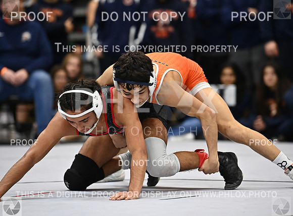 DLS_2880