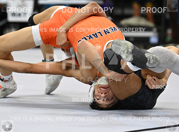 DLS_2737