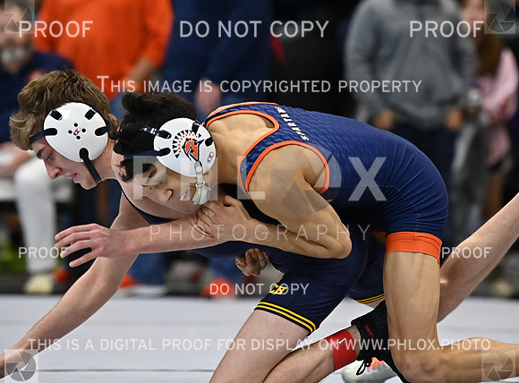 DLS_1426