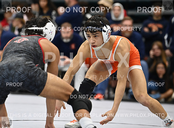 DLS_2741