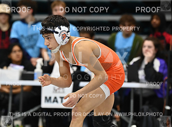 DLS_2782