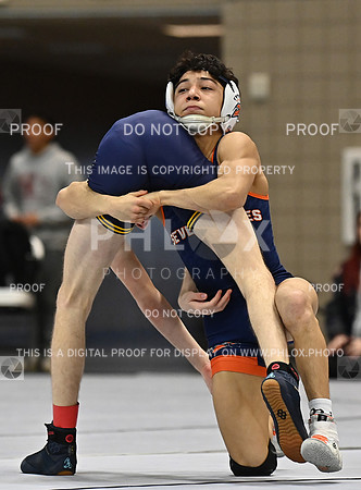 DLS_1382
