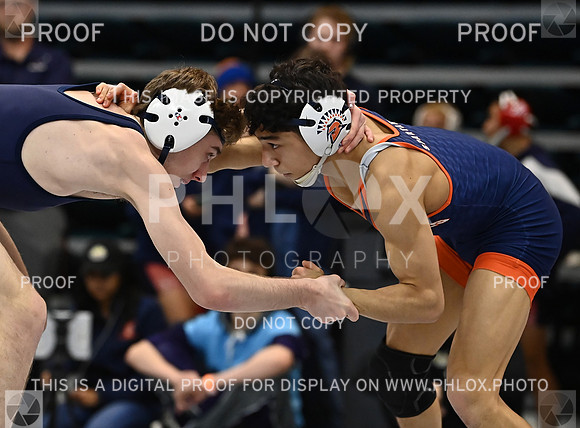 DLS_1392