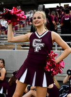 FDS_4084