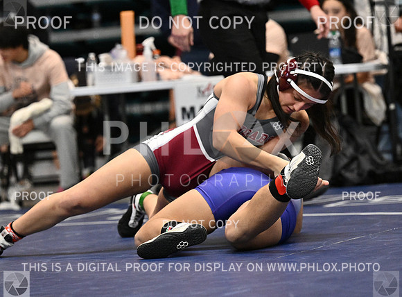 DLS_4276