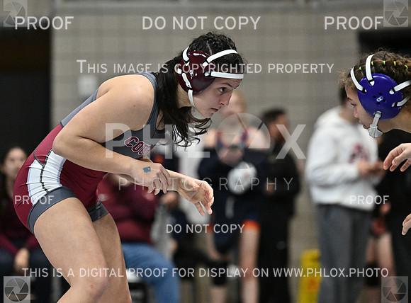 DLS_4267