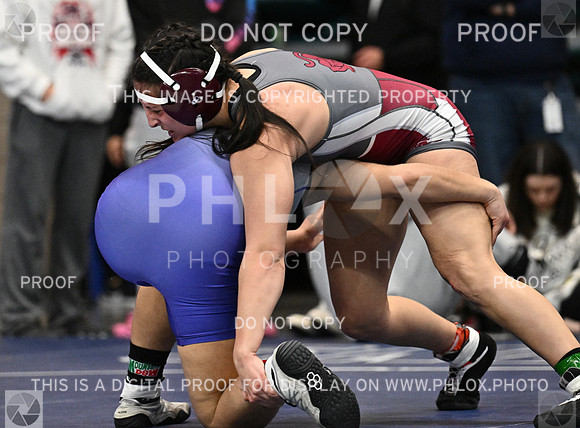 DLS_4306