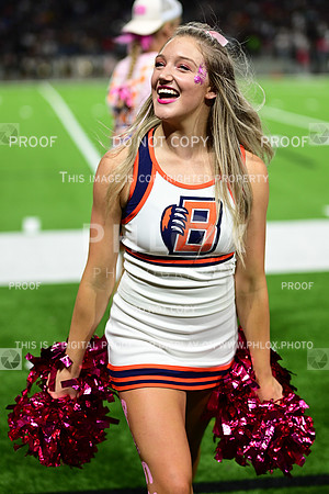 TOM_3857
