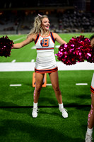 TOM_2953