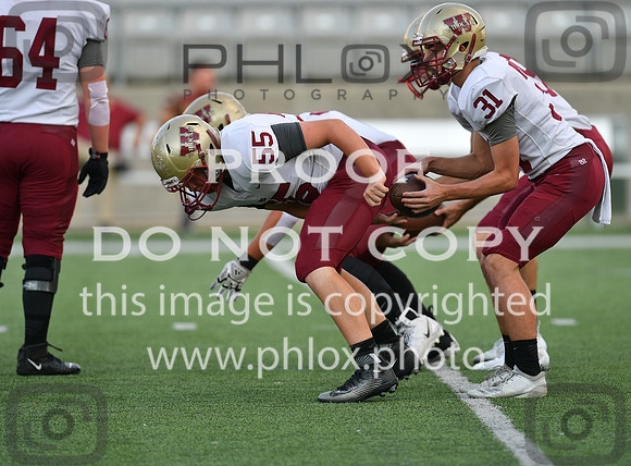 TOM_7190