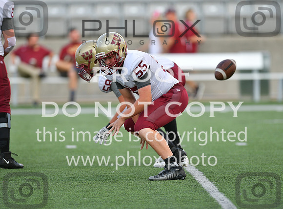 TOM_7195