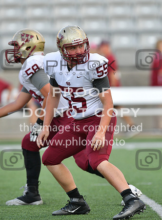 TOM_7198