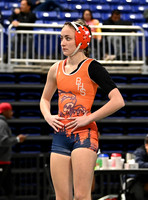 DLS_8462