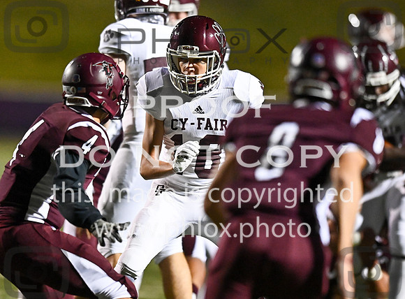 DLS_4018