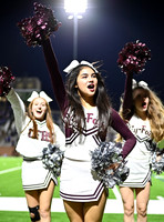 DLS_4524