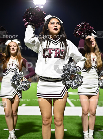 DLS_3816