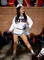 DLS_3358