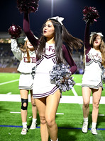 DLS_4532