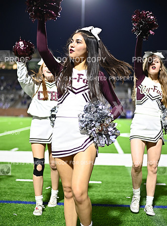 DLS_4532