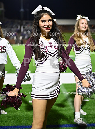 DLS_4918