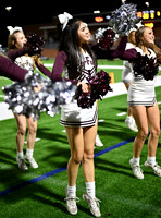 DLS_4689