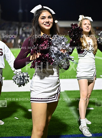 DLS_4915