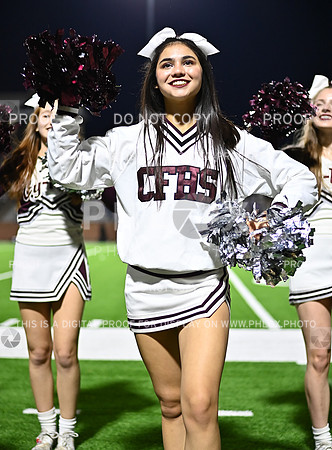 DLS_3787