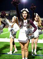 DLS_4517