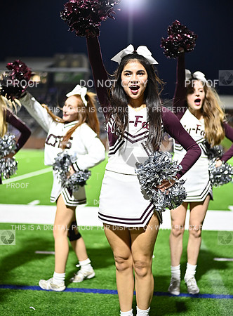 DLS_4517