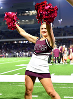 FDS_5919