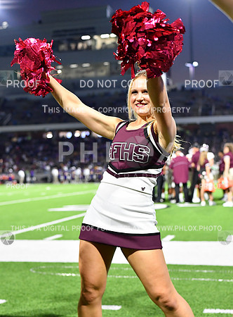 FDS_5919