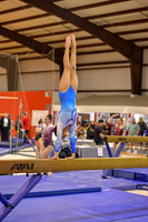 D5K_2011