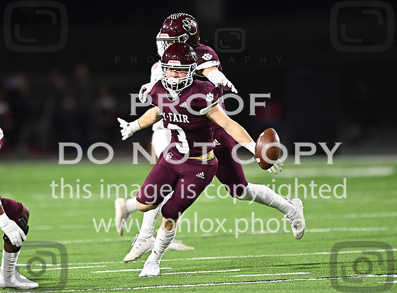 DLS_7628