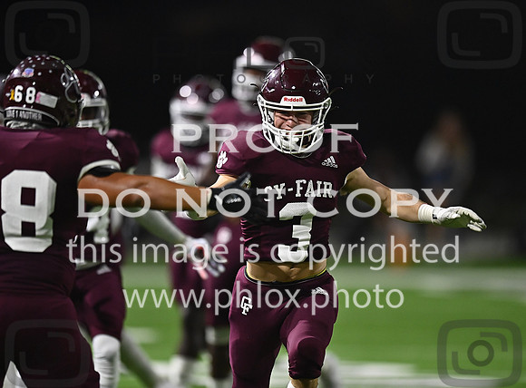 DLS_8544