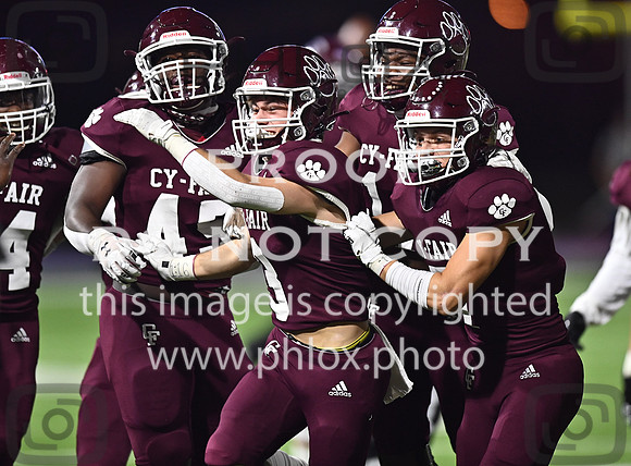 DLS_7646