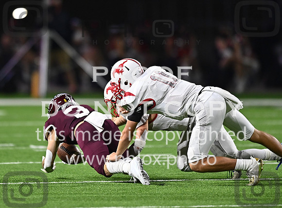 DLS_8526