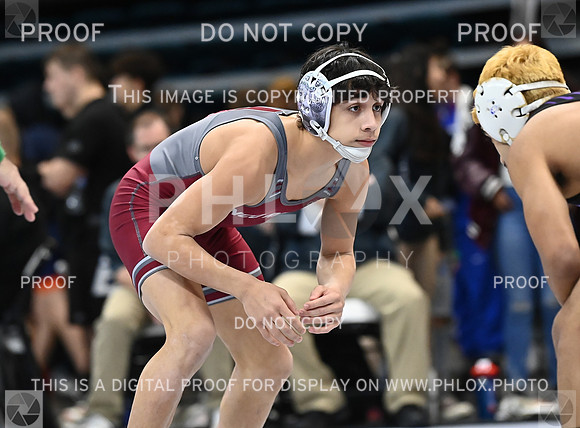 DLS_9004