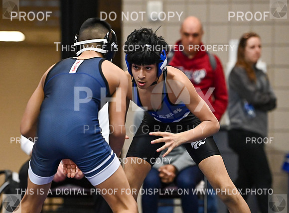 DLS_8918