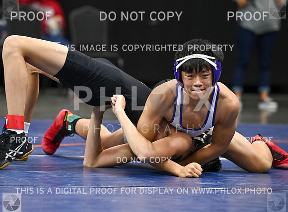 DLS_8997
